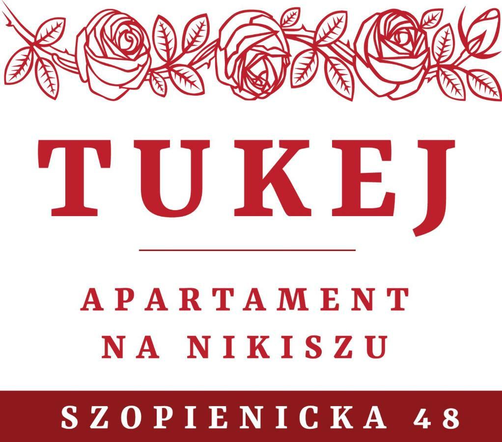 Tukej Apartament Na Nikiszu Katowice Exteriör bild